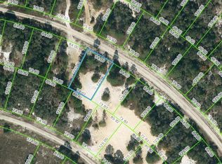463 Morningside Dr #33, Lake Placid, FL 33852