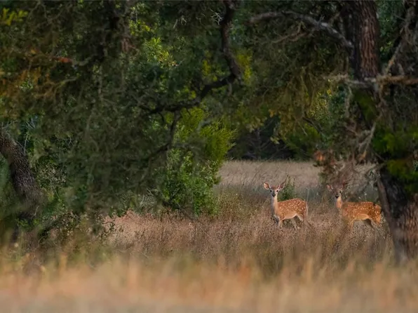 LOT 103 Tuscany Dr, Driftwood, TX 78619