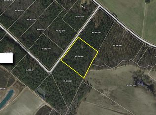 122 Deer Run Ave, Andrews, SC 29510