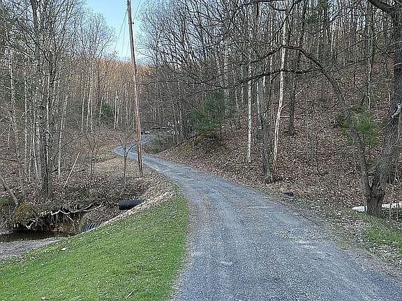 Long, secluded driveway! 