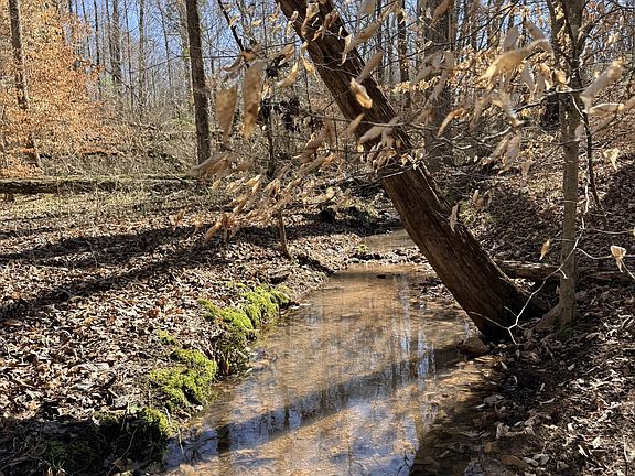 4th image of 0 Cuba Landing Rd Lot 4