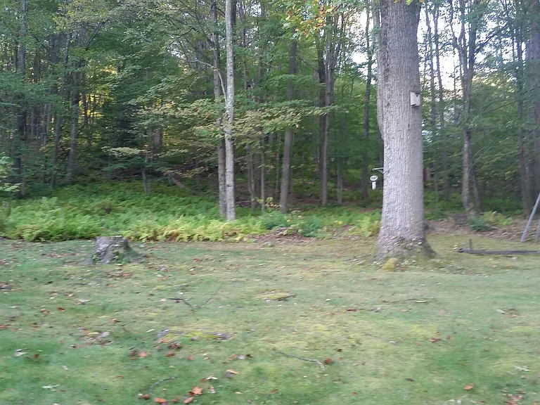 847 Lehman Outlet Rd — Photo 3