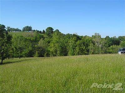 Middle looking right