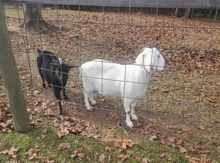 172 Crystal Creek Ln, Appling, GA 30802