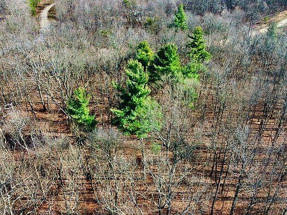 5th image of 654 Briley Rd