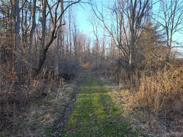 21 Creek Rd #28, Kendall, NY 14476