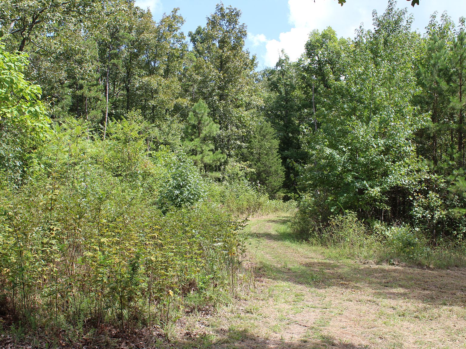 275 Carter Rd, Rose Bud, AR 72137 Zillow