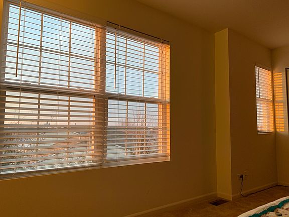 Master Bedroom Windows