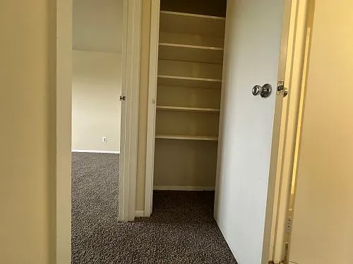9727 Mount Pisgah Rd — Photo 22
