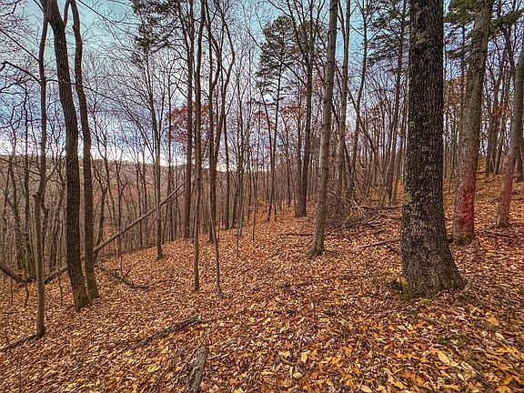 42nd image of this home