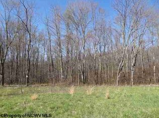 18 Poplar Dr, Grafton, WV