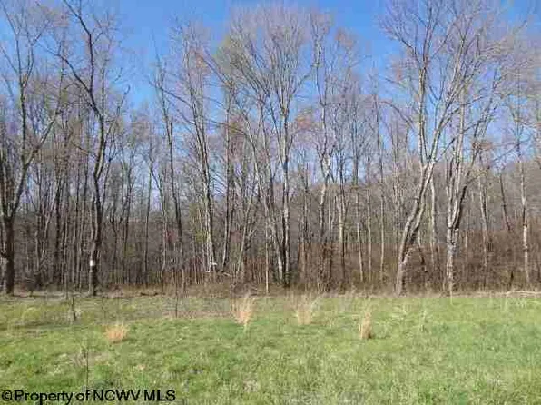 18 Poplar Dr, Grafton, WV 26354