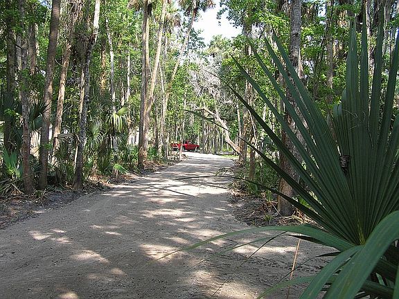 4th image of LOT 99 E Park Trl