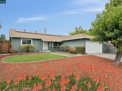 1237 San Rafael Dr, Petaluma, CA, 94954