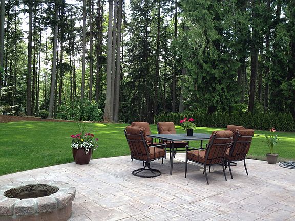 Back yard