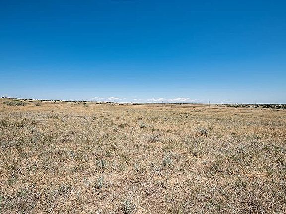 4th image of LOT 168 Tarryall Dr
