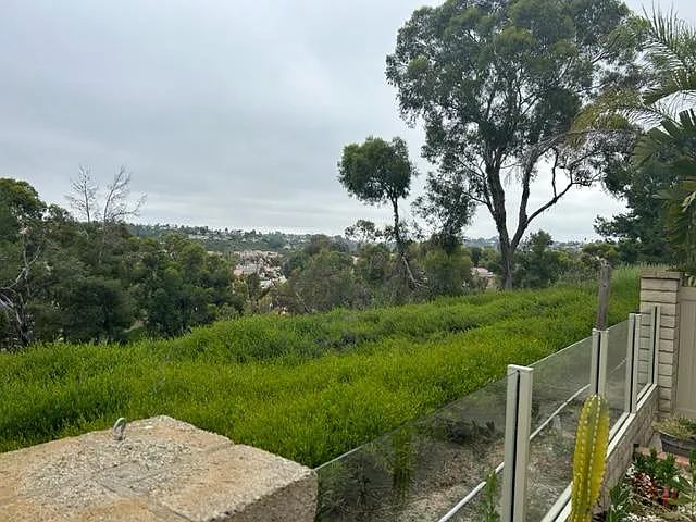 24538 Sunshine Dr — Photo 3