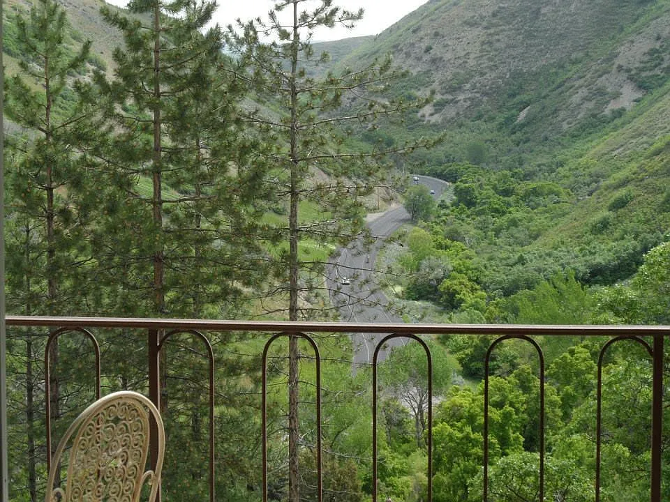 1 bed, 800 sqft, $1,500 — Photo 3
