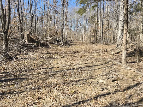 0 Honey Fork Rd Lot 1, Indian Mound, TN 37079