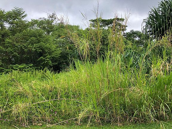 3rd image of 15-2807 Opakapaka St Lot 1684