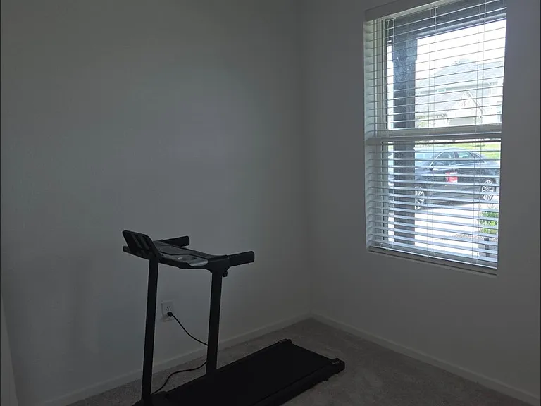 3323 Silvery Bryum Dr — Photo 9