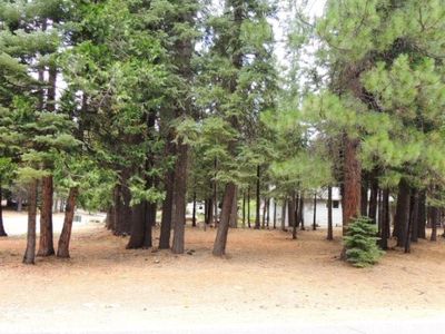 920 Long Iron Dr, Chester, CA, 96020
