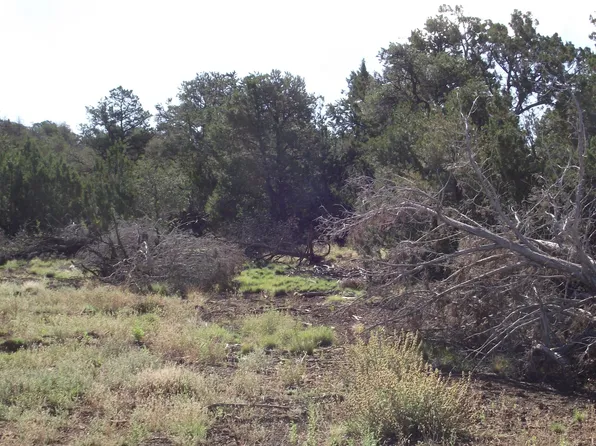 848 E Little Horse Rd #152, Williams, AZ 86046