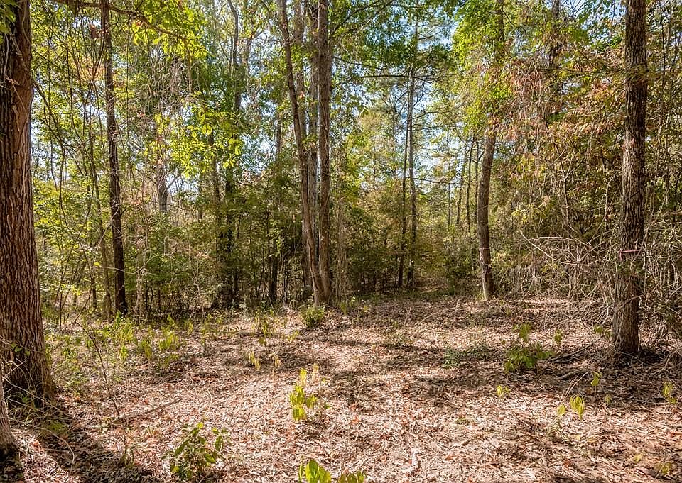 1st image of 20 AC County Rd 783