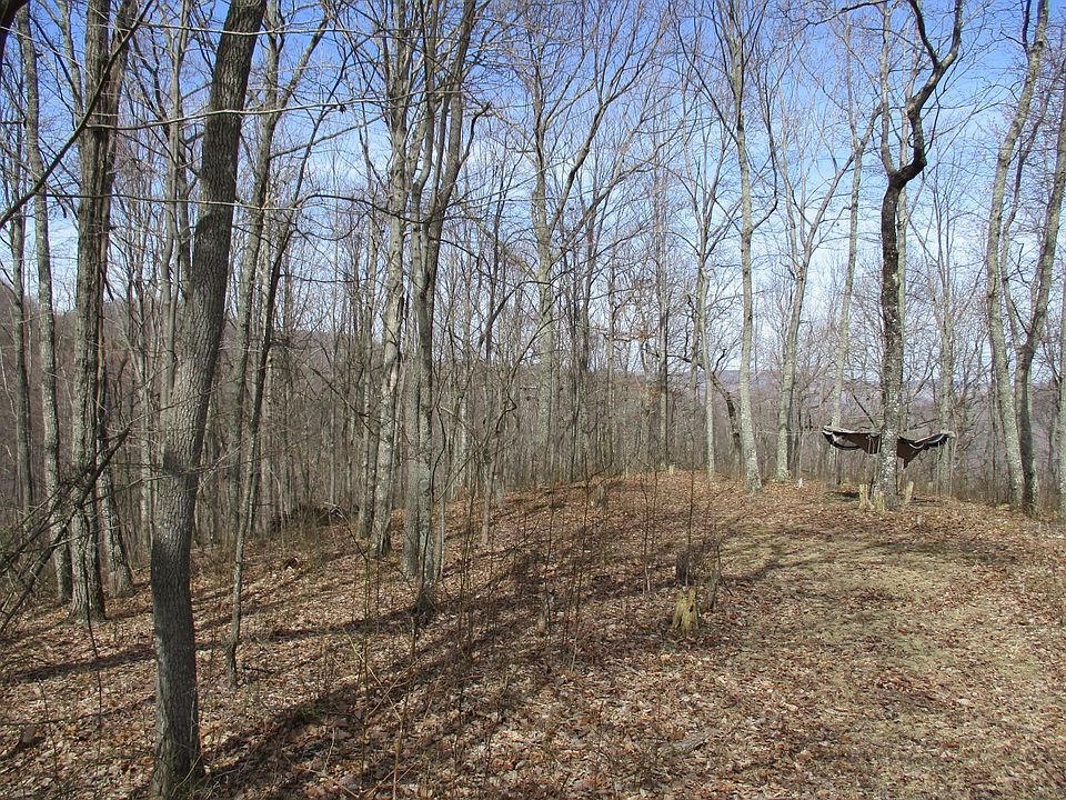 1st image of Racoon Ln