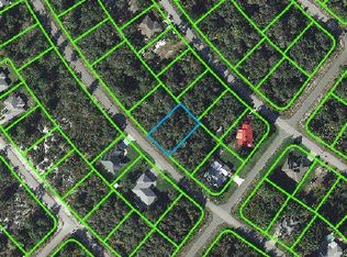 332 Garfield Ave NE, Lake Placid, FL 33852