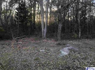 325 Byrnes Cir, Johnsonville, SC 29555