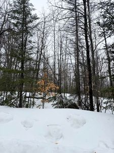LOT 67 Birch Ln, Frederic, MI, 49733