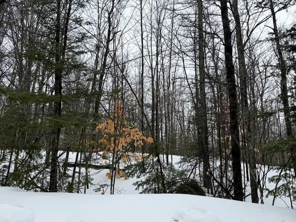 LOT 67 Birch Ln, Frederic, MI 49733