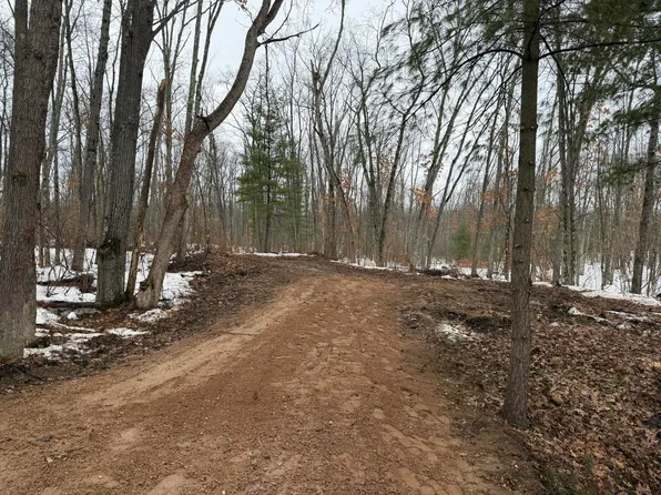 Steinberg Rd, Wellston, MI 49689