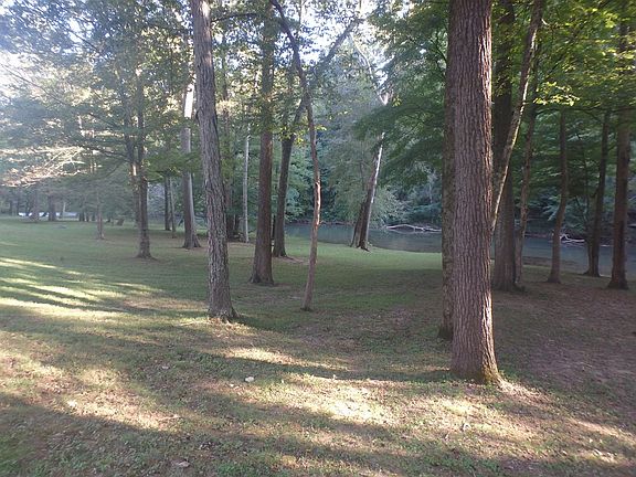 4th image of 132 Wildwood Trl
