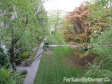 View from Living Room & Kitchen