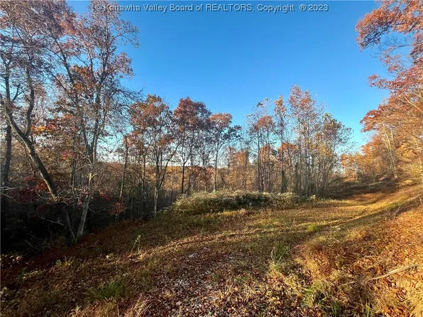 0 Barton Chapel Rd, Apple Grove, WV 25502