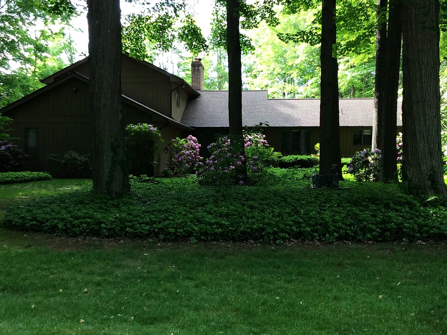 5321 Teakwood Ct photo 1
