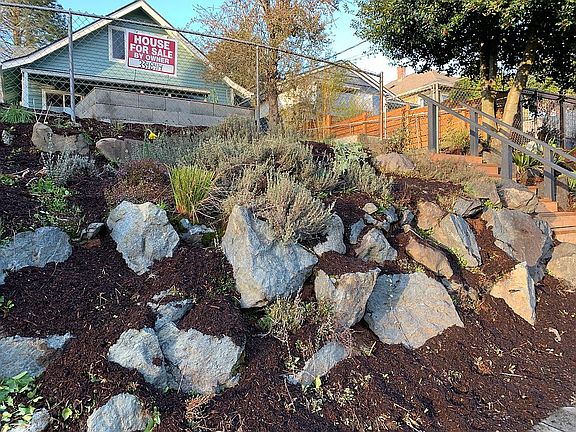 Rockery in front of home