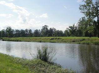 30646 Heron Vw, Springfield, LA 70462