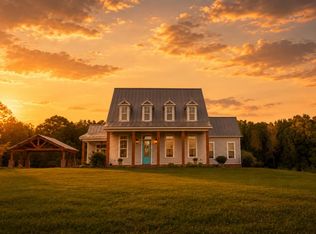 520 Lees Bridge Rd, Midland City, AL 36350
