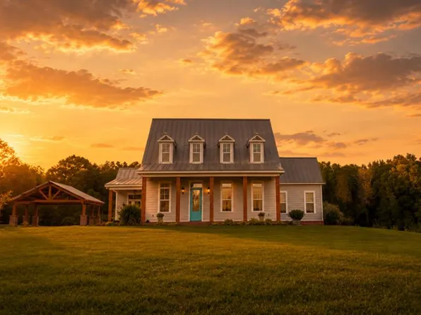 520 Lees Bridge Rd, Midland City, AL 36350