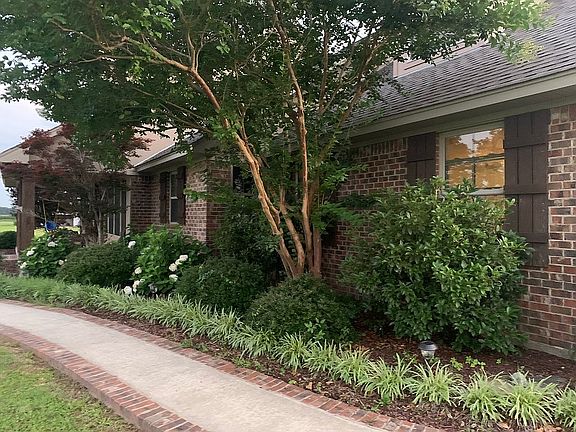 Established landscaping