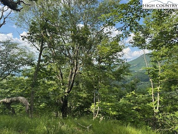 3rd image of 796 Goat Mountain Road