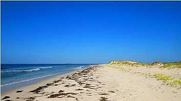 1st image of 878 Gulf Shore Dr