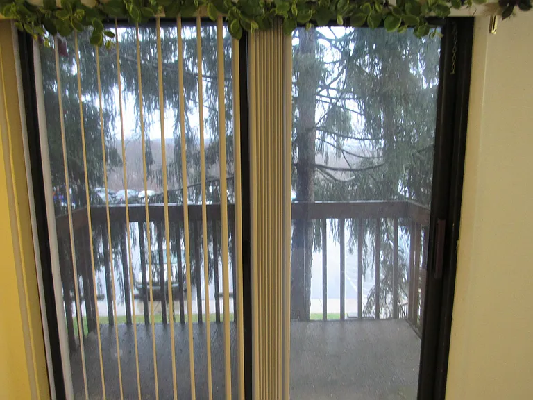 27614 Evergreen Run #14 — Photo 11