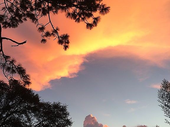 Beautiful sunsets 