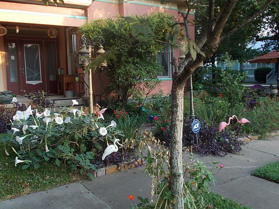 4th image of 309 Olive St