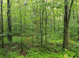 Hungry Hill Spur, Hancock, NY 13783