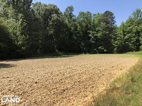Food Plot